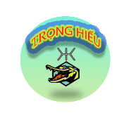 Trọng Hiếu Store
